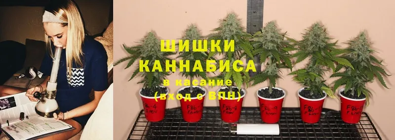 Конопля LSD WEED  где можно купить наркотик  Морозовск 